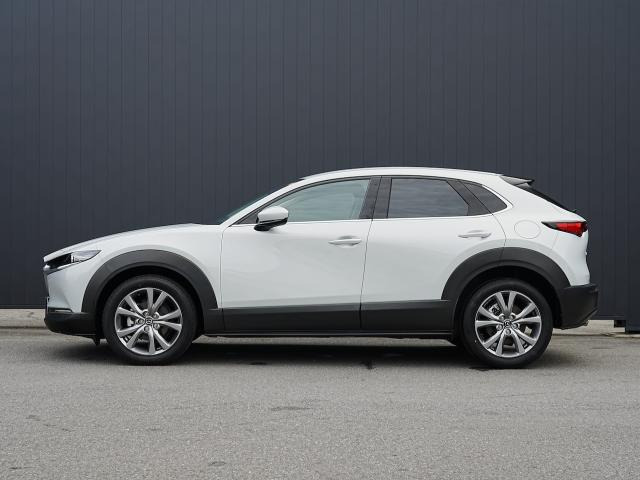 CX-301.8 XD ツーリング