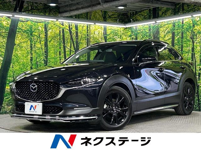 CX-302.0 20S ブラックトーンエディション