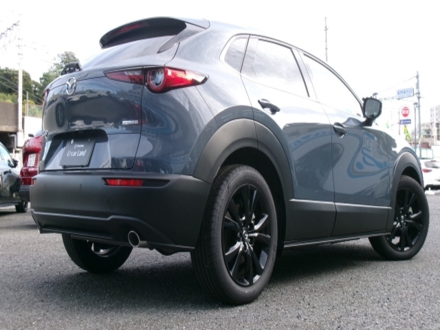 CX-301.8 XD ドライブ エディション