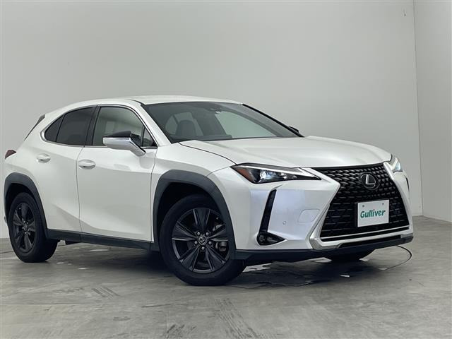 UX250h バージョンC