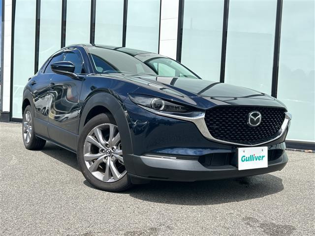 CX-302.0 20S プロアクティブ
