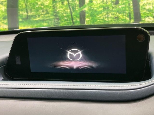 CX-302.0 20S プロアクティブ