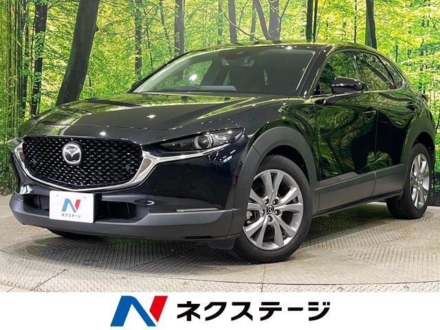 CX-302.0 20S プロアクティブ
