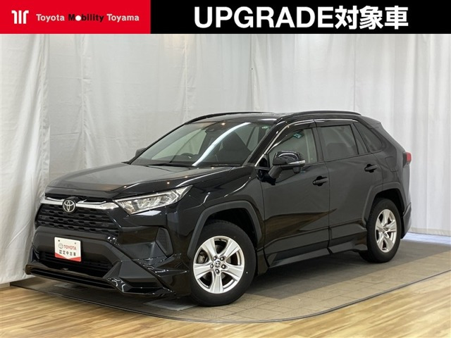RAV42.0 X
