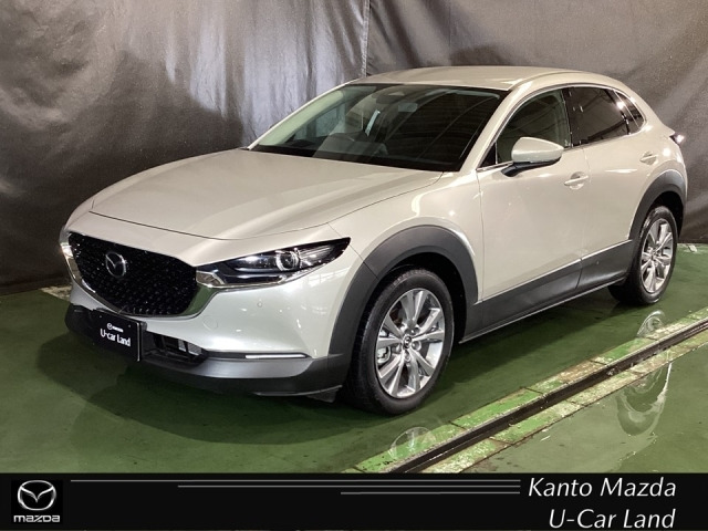 CX-302.0 20S プロアクティブ