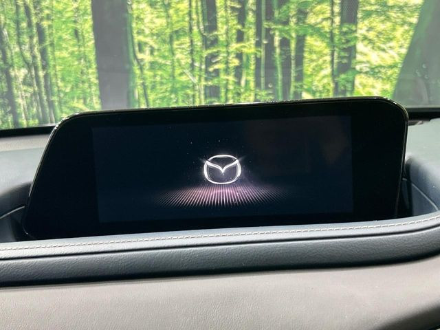 CX-302.0 20S プロアクティブ