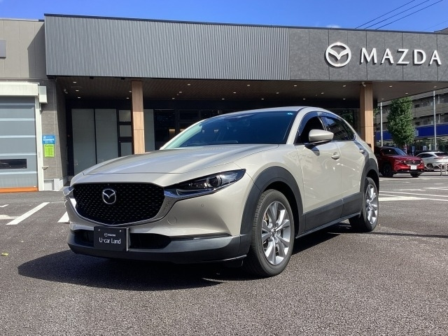 CX-302.0 20S プロアクティブ