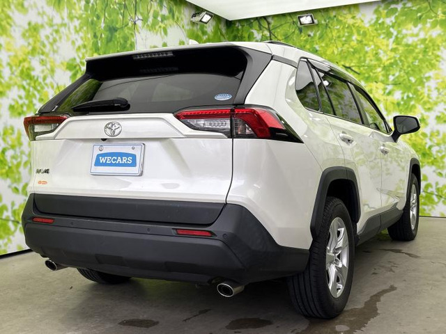 RAV42.0 X