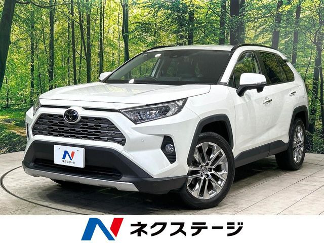 RAV4(トヨタ) 2.0 G Zパッケージ 4WD 中古車画像
