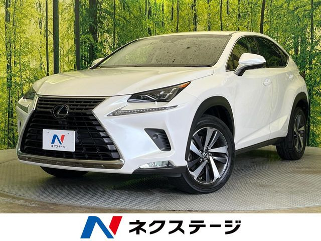 NX200t Iパッケージ