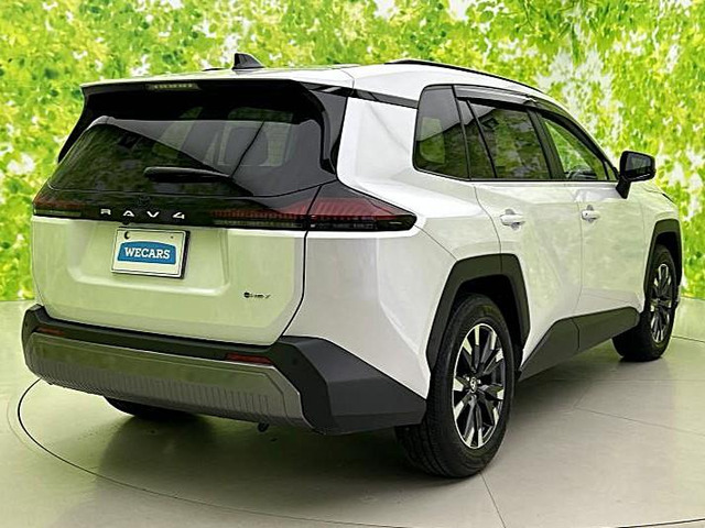 RAV42.5 Z E-Four 4WD