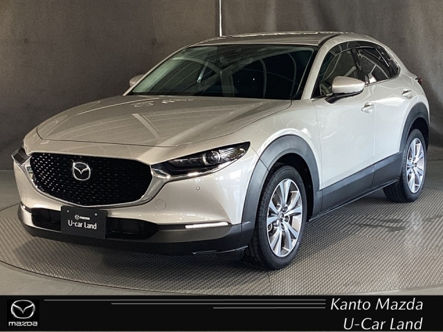 CX-302.0 20S プロアクティブ