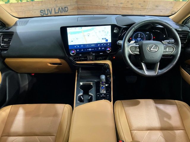 NX250 バージョンL
