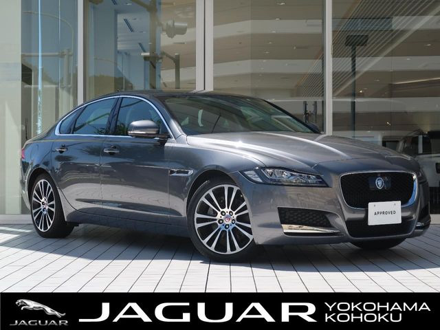 XF