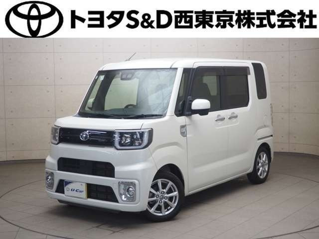 ピクシスメガL SAIII