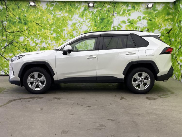 RAV42.0 X