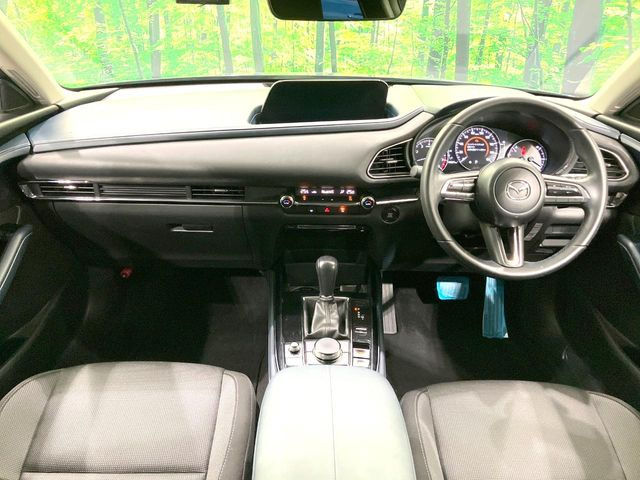 CX-302.0 20S プロアクティブ