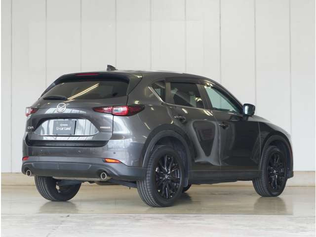 CX-52.0 20S ブラックトーンエディション