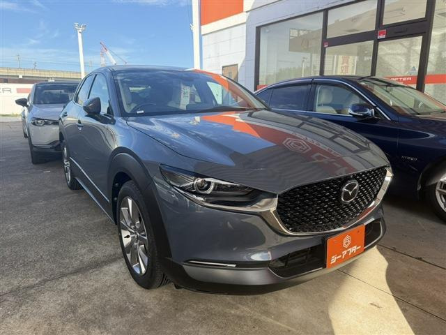 CX-302.0 20S Lパッケージ