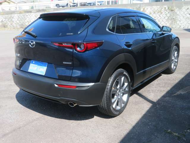 CX-302.0 20S プロアクティブ