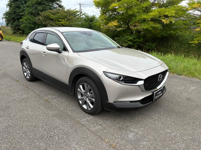 CX-301.8 XD プロアクティブ ツーリングセレクション 4WD