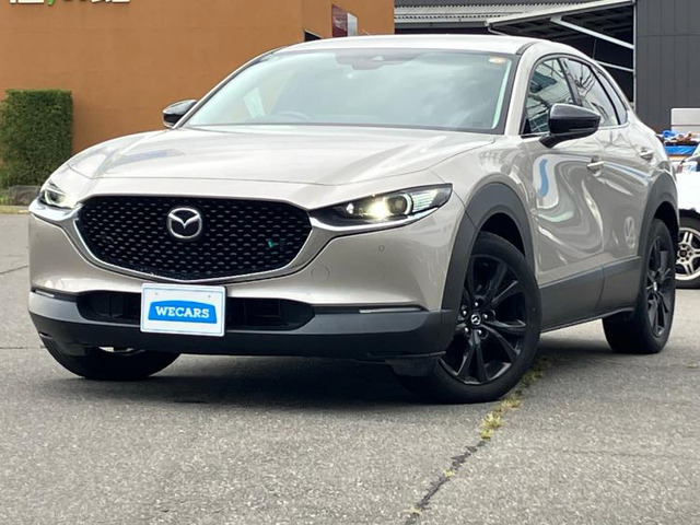CX-301.8 XD ブラックトーンエディション