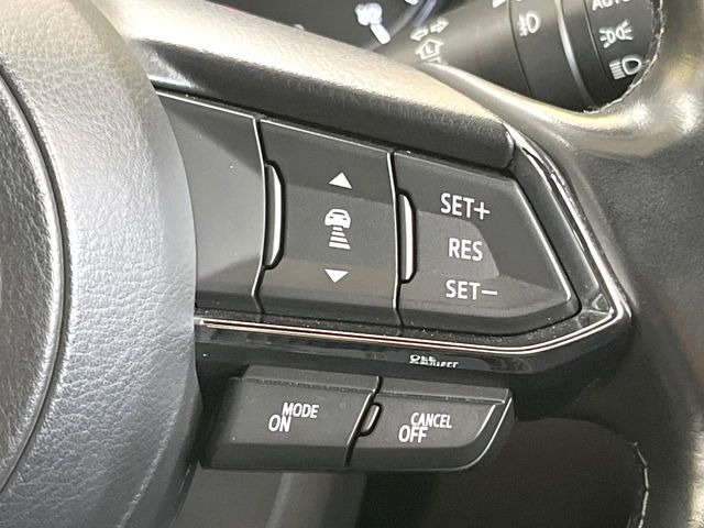 【クルーズコントロール】高速道路もラクラク走行。アクセルを離しても一定速度で走行ができ、長距離運転時の負担を軽減!加速・減速も簡単なスイッチ操作で調整できます。