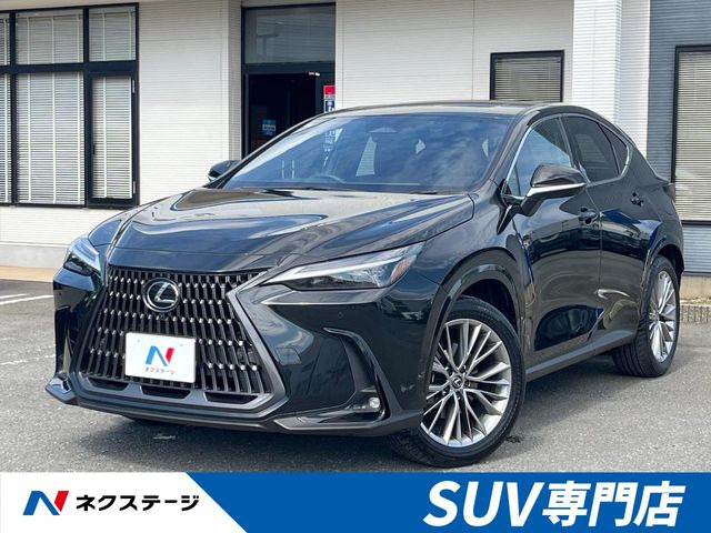 NX250 バージョンL