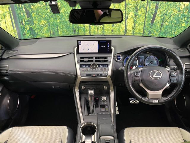 NX300h Fスポーツ