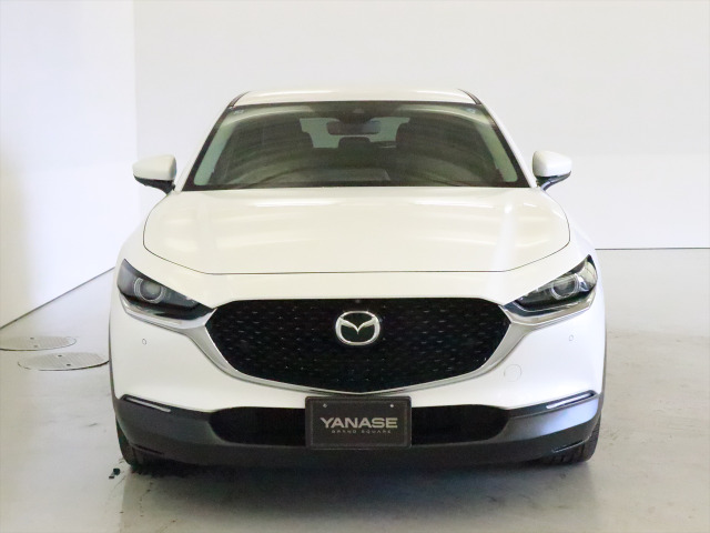 CX-301.8 XD Lパッケージ