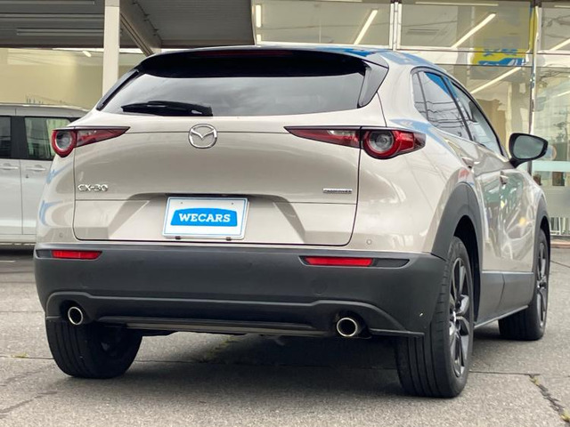 CX-301.8 XD ブラックトーンエディション