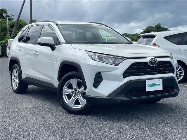 RAV42.0 X