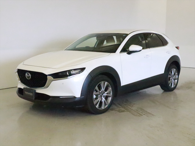 CX-301.8 XD Lパッケージ