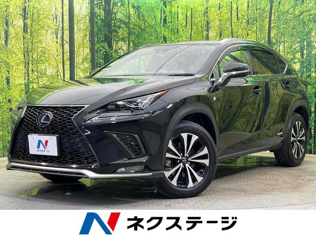 NX300h Fスポーツ