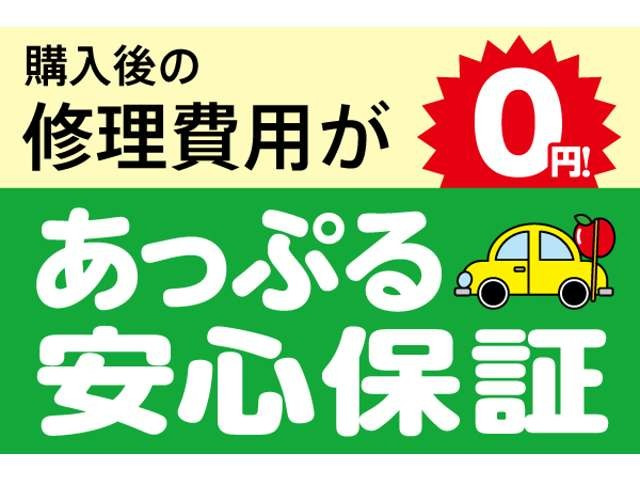 キャストアクティバ G SAII