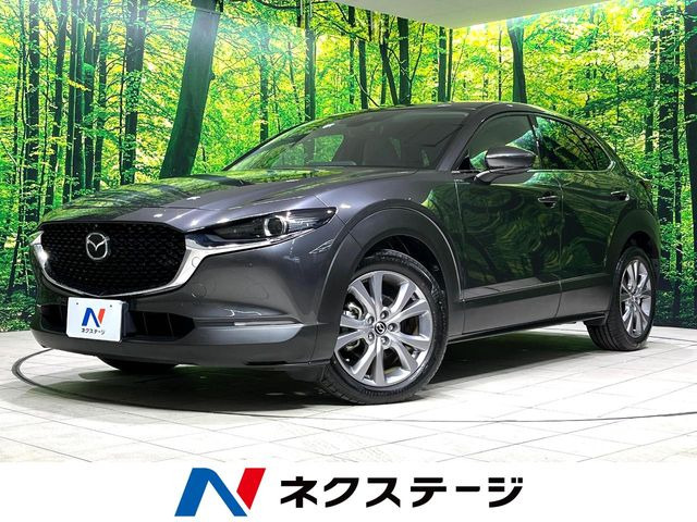 CX-302.0 20S プロアクティブ ツーリングセレクション
