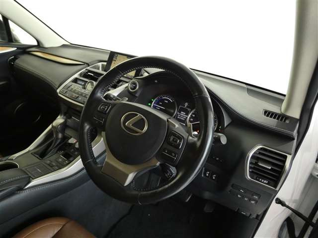 NX300h バージョンL