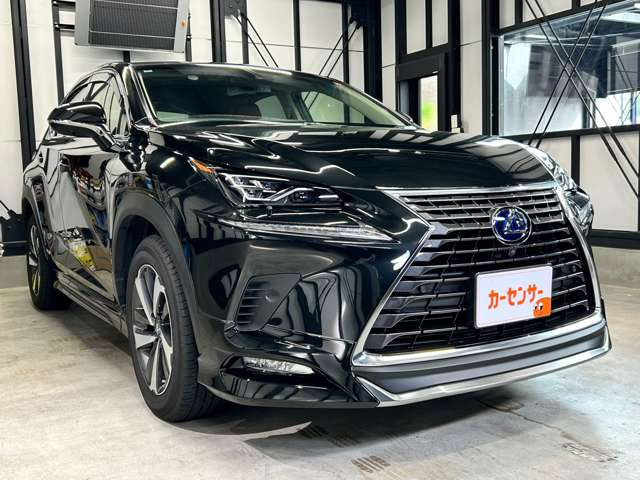 NX300h Iパッケージ 4WD
