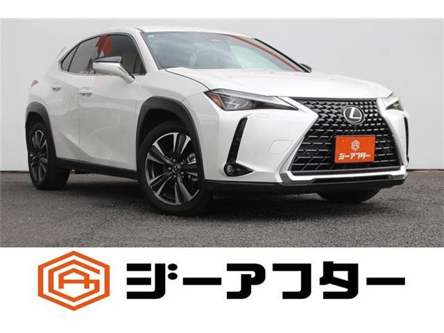 UX300h バージョンC