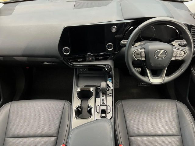 NX250