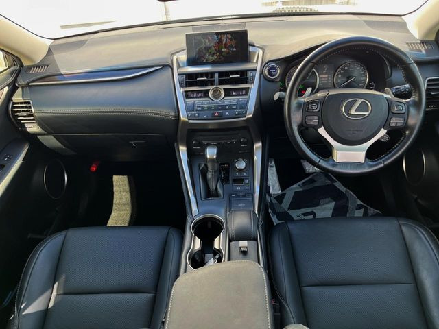 NX300h バージョンL