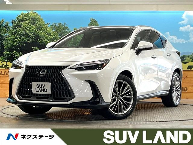 NX450hプラス バージョンL 4WD