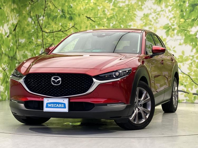 CX-302.0 20S プロアクティブ ツーリングセレクション