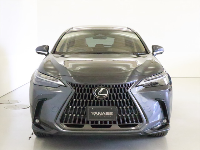 NX350h バージョンL