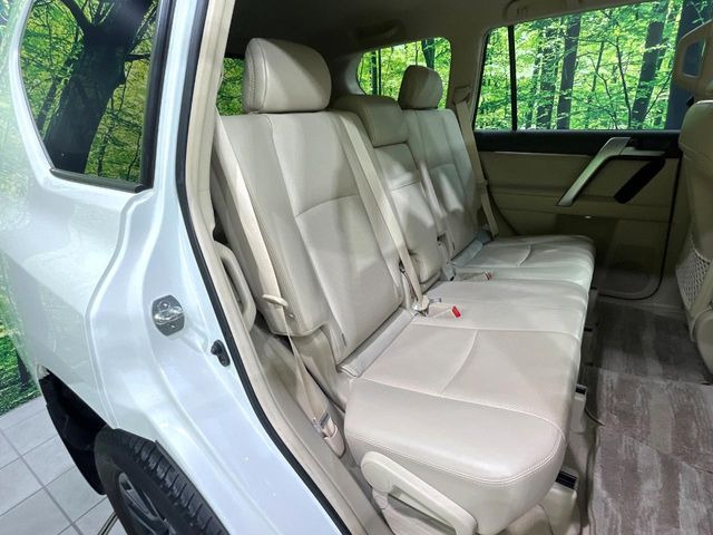 �㕔���Ȃ��C�ɂȂ�悤�ȃL�Y�E�����ւ��蓙�A�傫�ȃ_���[�W�͂Ȃ��A�ǍD�ȏ�Ԃł��B