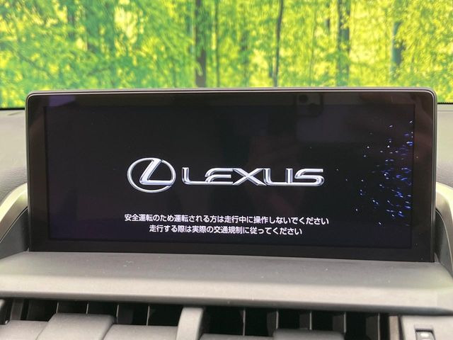 NX300h Fスポーツ