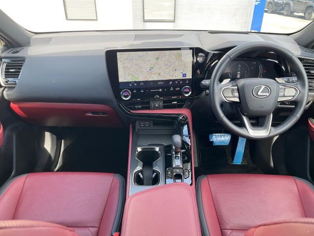 NX250 バージョンL