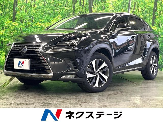 NX200t Iパッケージ