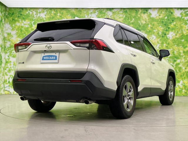 RAV42.0 X