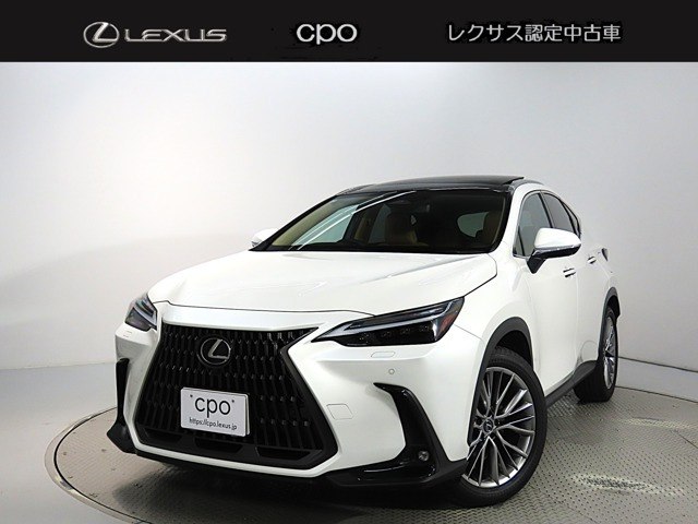 NX350h バージョンL
